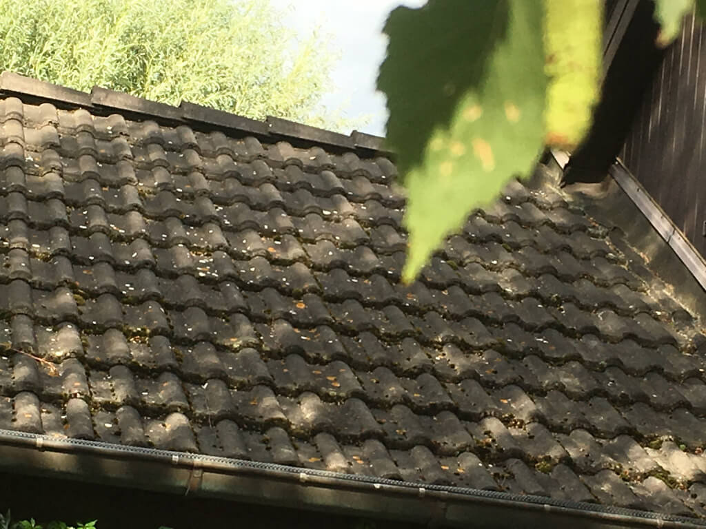 Bemooste Dachsteine