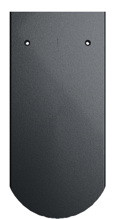 Carbongrau