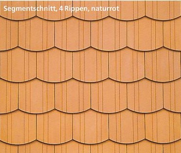 Riesa Biber Segmentschnitt, 4 Rippen
